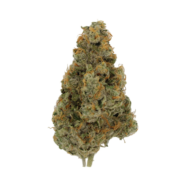 18twelve - Liberty Haze