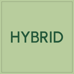 Hybrid Disposables