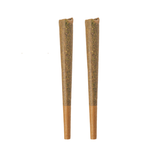 BOLD GLAZED - Indica - Pre-Roll
