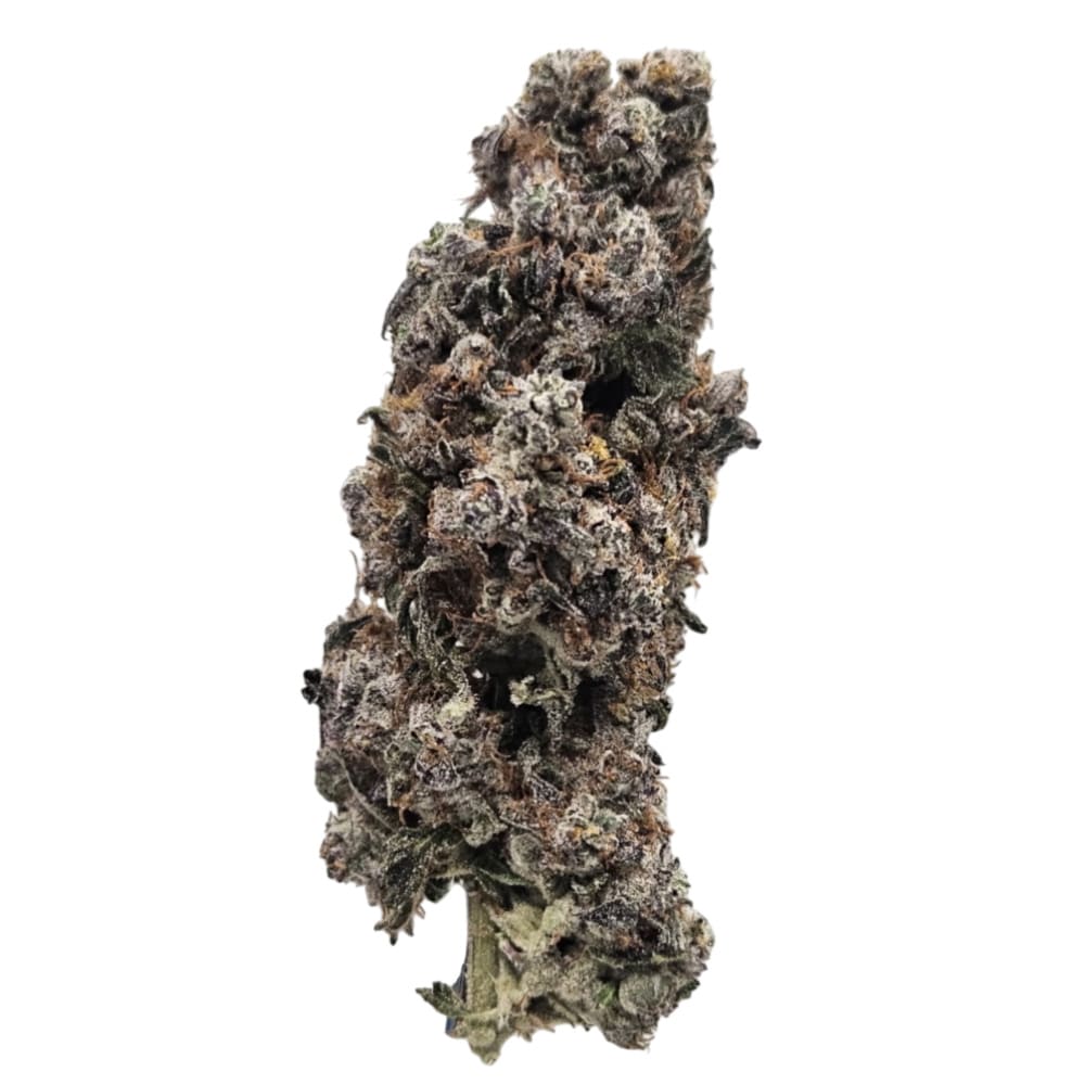 Rogworld – Ultra Garlic