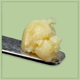 Concentrates