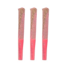 November Rain - Rosebuds - Pre-Rolls