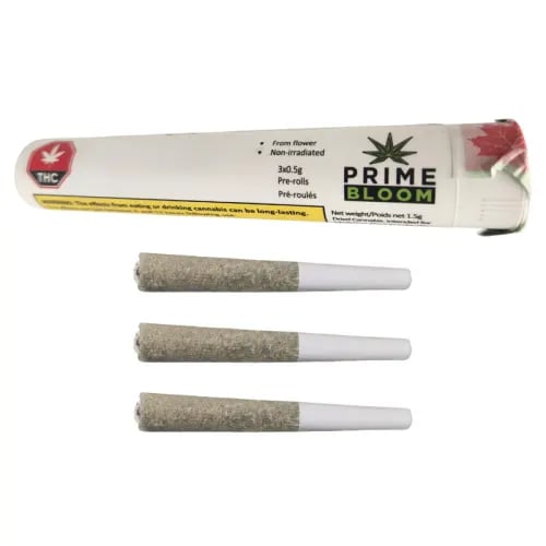 Prime Bloom - Cactus Milk - Pre-Roll