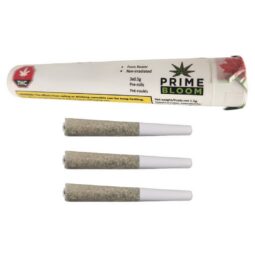 Prime Bloom - Slurricane - Pre-Rolls