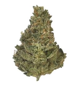 Prime Bloom - Berries N' Cream (Smalls)