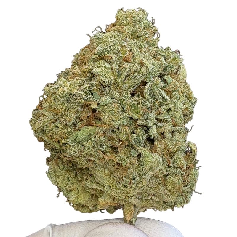 Prime Bloom – Rainbow Zkittlez