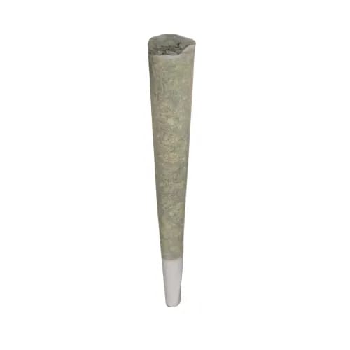 Saskatoon's Finest - Pre-Roll