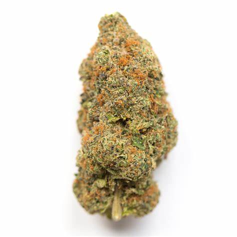 Elevator - Pink Diesel