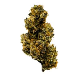 BC Weed Co - Peanut Butter Breath